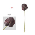 2 Pieces Black Red