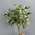 Artificial plastic foil for interior floral decoration - Green Eyebrow Lobes