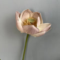 Light Pink Purple S