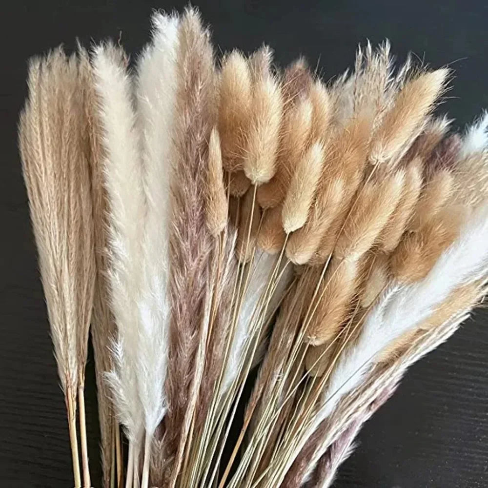 100 bouquets of grass of pampa for bohemian wedding decoration - G
