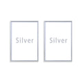 2 Pieces Silver