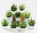 Artificial plants in eucalyptus pot and decorative rosemary