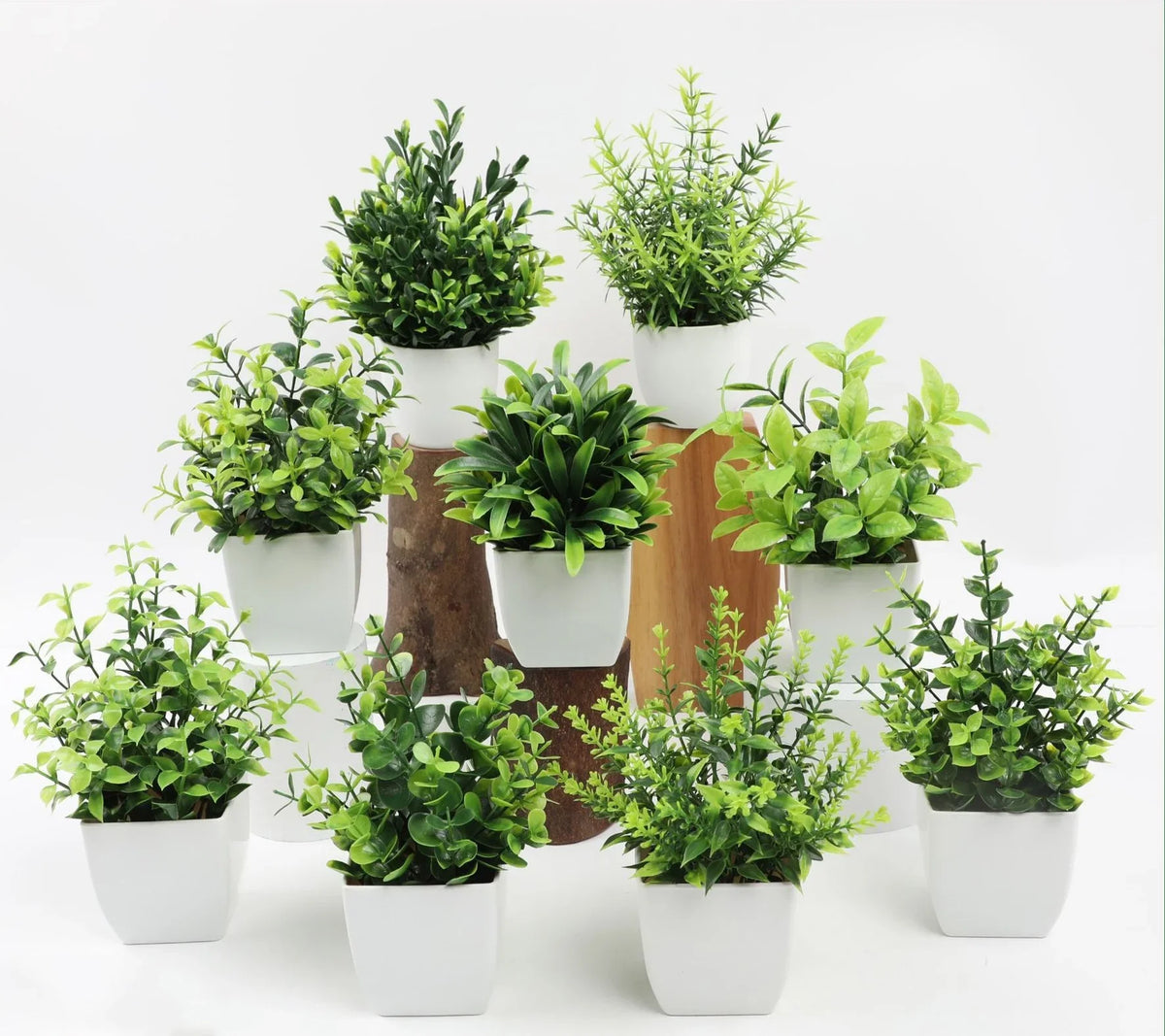Artificial plants in eucalyptus pot and decorative rosemary