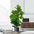 Artificial tropical tree ficus for interior and exterior decoration