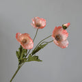 Coral Pink