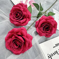 Pink Red