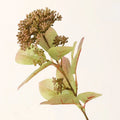 Eucalyptus artificial plants for wedding decoration and events - Coffee