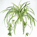 Artificial plants suspended with 5 forks for interior decoration - One