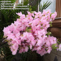 A3 Light Pink