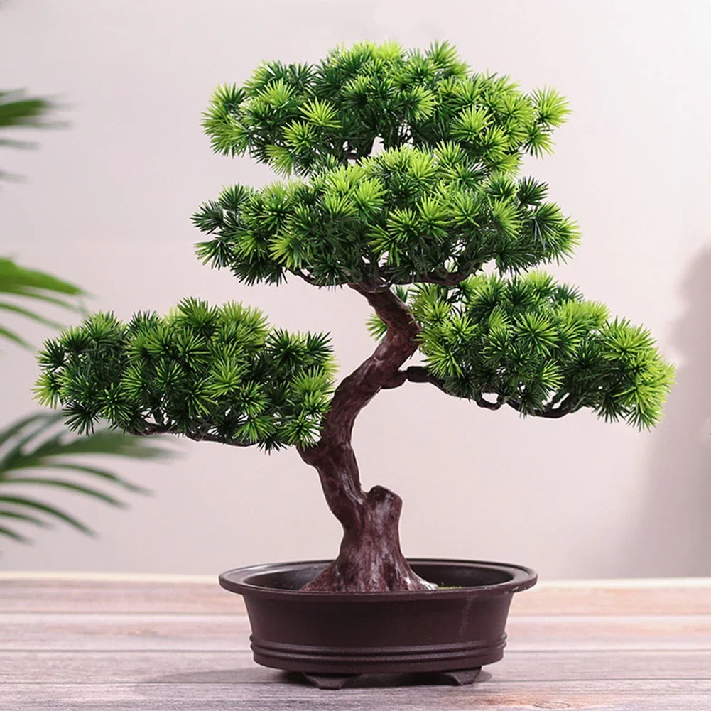 Bonsai style decorative pot plant for home and office
