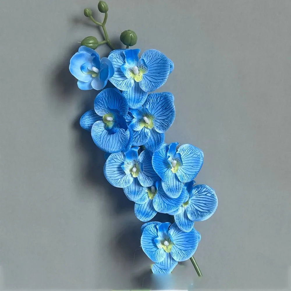 Artificial plants phalaenopsis 3d touch realistic decorative orchid - Blue