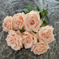 Light Orange