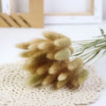 Bouquet of dried flowers rabbit tail for festive decorations - Natural / 60 Pieces