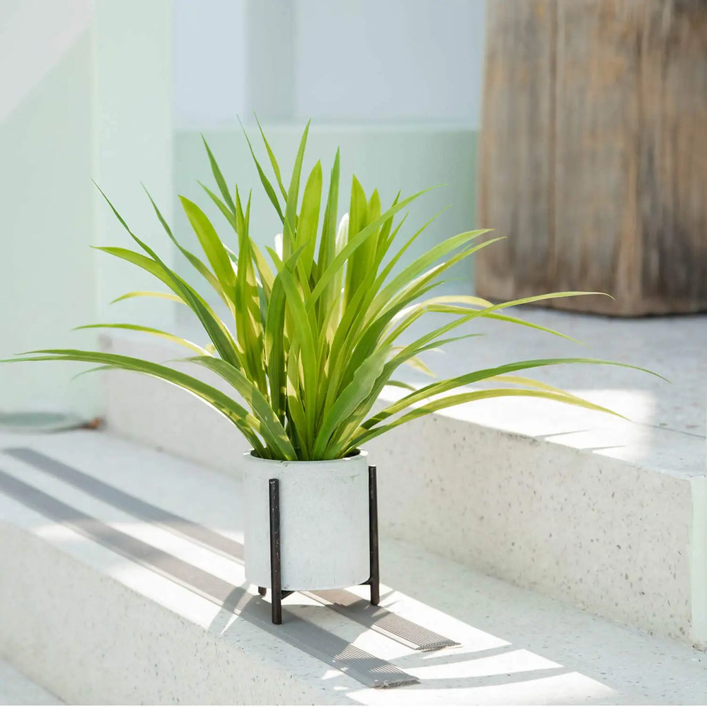 Chlorophytum artificial plants for interior and exterior decoration - view 5