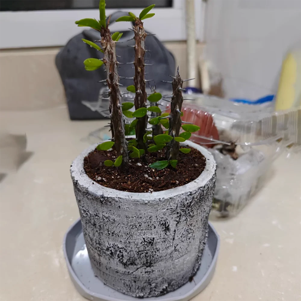 Retro silicone mould for cement flower pot - view 4
