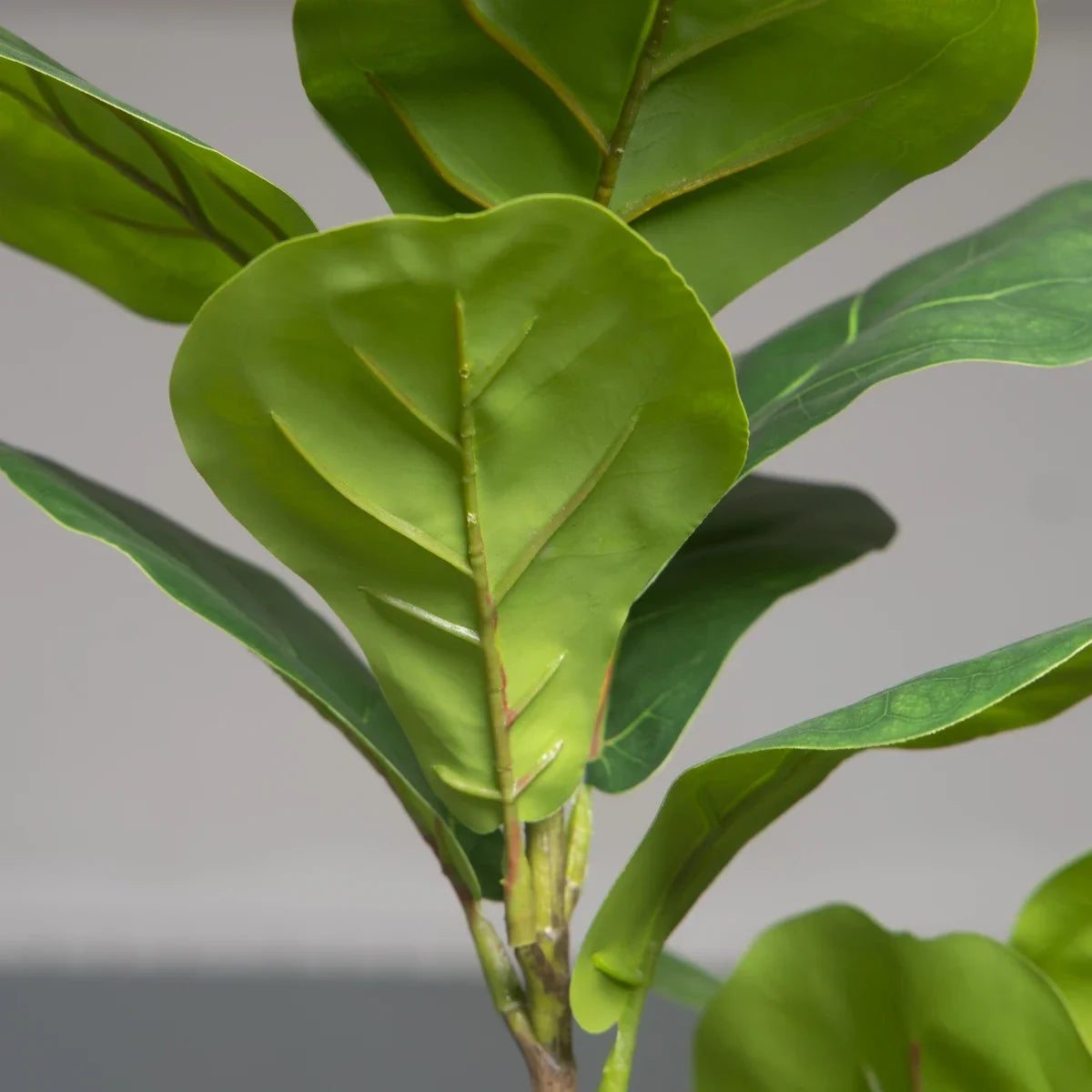 Artificial ficus tree branch for interior and exterior decoration - view 2