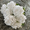 Pure White