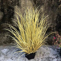 Artificial plants large leaves for interior decoration and gifts - H