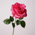 Pink Red
