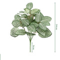 White Reticulum