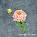 Light Pink B