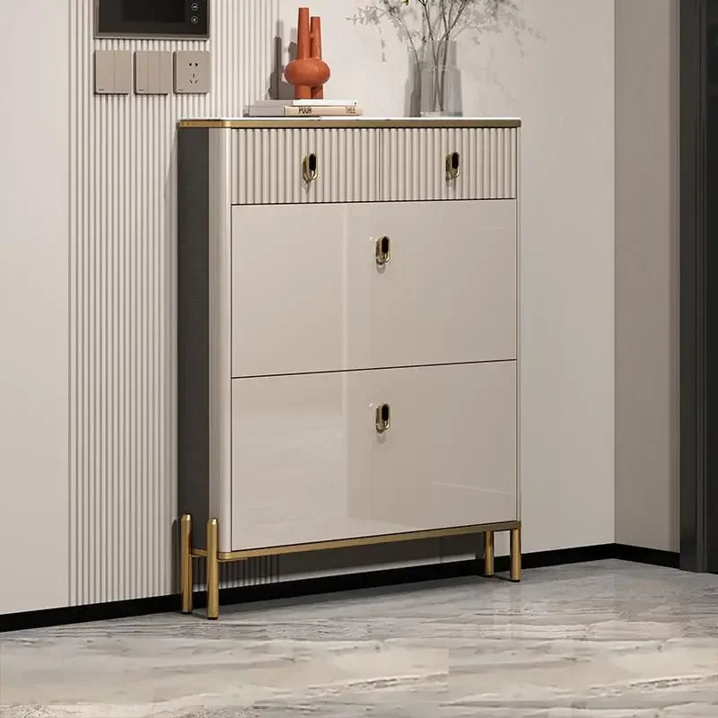 Storage organizer for high-end dust resistant shoes