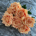 Light Orange
