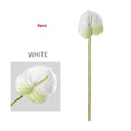 6 Pieces White