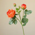Orange Red