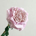Realistic artificial latex flowers for elegant decoration - White Purple
