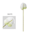 1 Piece White