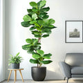 Artificial plant branches ficus with realistic touch for interior decoration