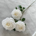Milk White