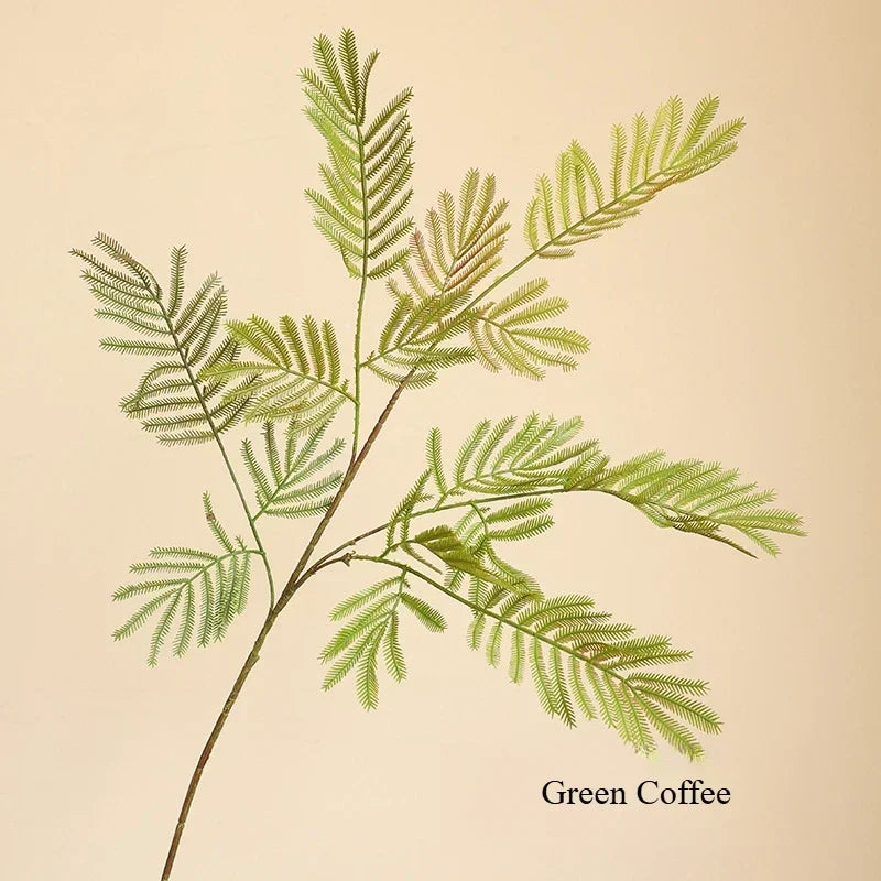 Artificial plant mimosa for rustic decoration and accessories photo - Green coffee