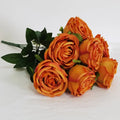 Orange nouveau