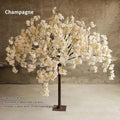 Champagne 90 cm