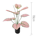 55cm No Pot Pink