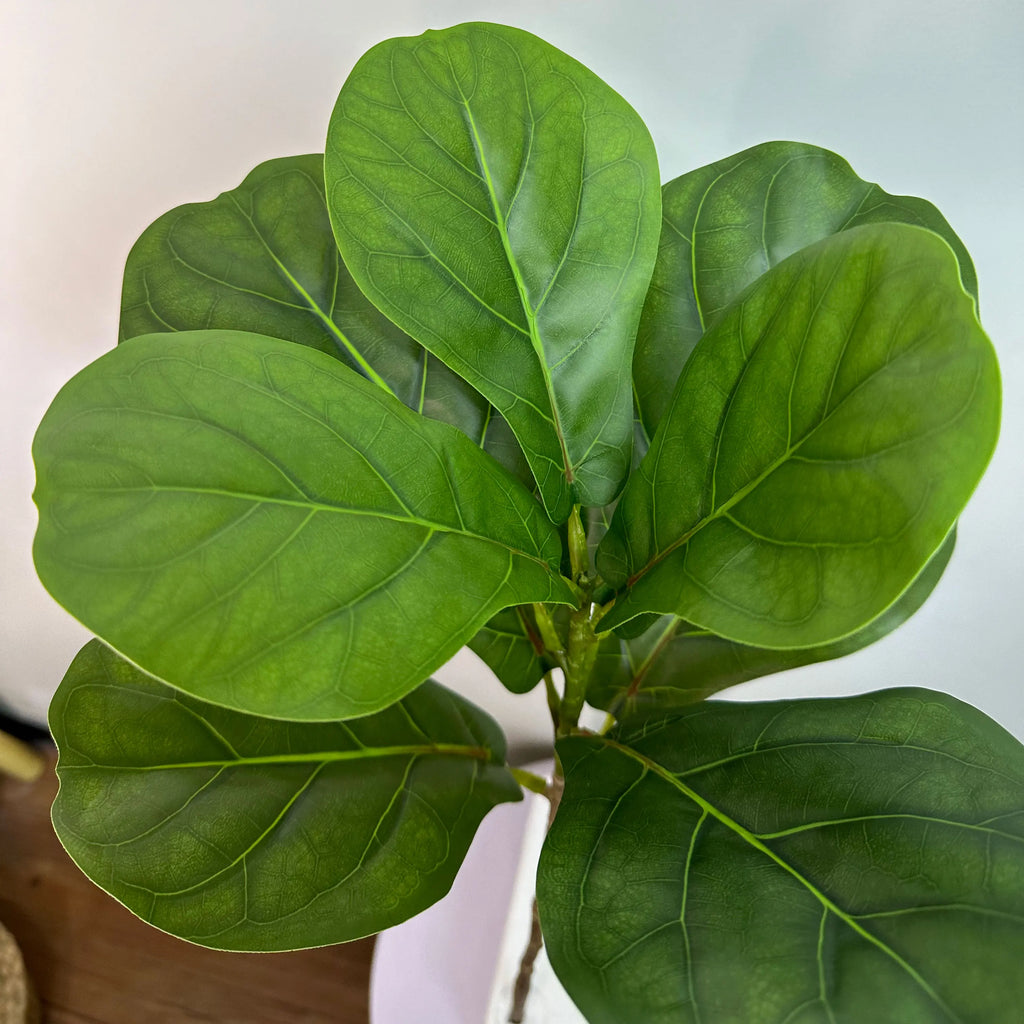 Artificial branches of ficus large leaves for interior and exterior decoration - view 6