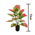 75cm No Pot Green