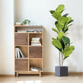 Artificial branches of ficus large leaves for outdoor decoration