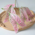 Veines vertes roses