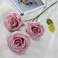 Autumn Pink