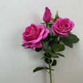 Pink Red