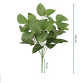 Strawberry Leaf