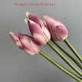 Autumn Purple Bud