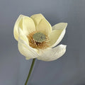 Small White