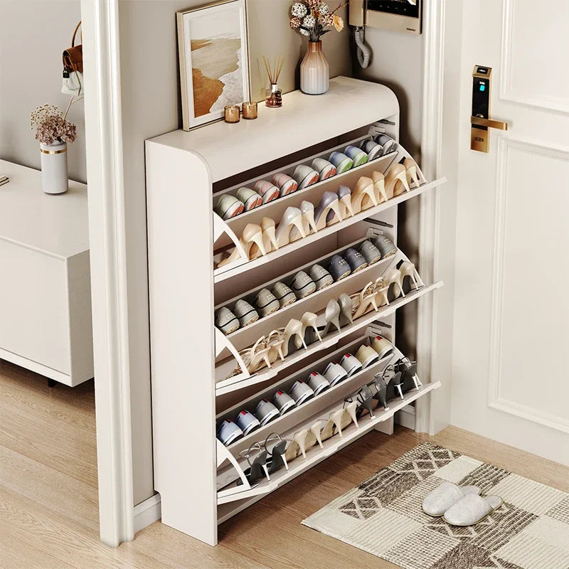 Shoe organizer bag tote for home and storage - view 4