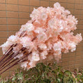 B6 Rosé Champagne