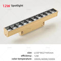 1 projecteur 12 W 1