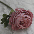 Pink Purple